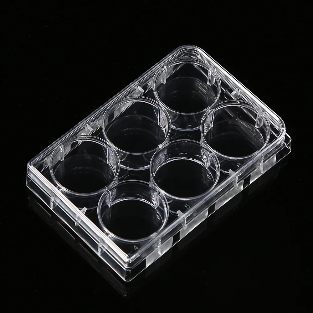 5Pcs Polystyrene 6 Well Petri Dishes Culture Dish 6-Holes for Laboratory Medical Biological Scientific Lab Supplies