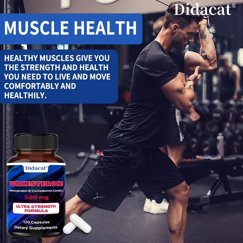Stamen Ajuga High Potency Extract 10% T&uuml;rkiye Sterol Capsules-Strength, Energy, Muscle Health, Improves Muscle Fatigue