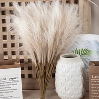 55CM 5/1PCS Fluffy Pampas Grass Boho Decor Flower Fake Plant Reed Simulated Wedding Party Christmas Home Decor Artificial Flower 3