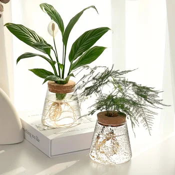 Vase de Station de Propagation en Verre T1, user inière de Plantes Hydroponiques, Coupe Européenne, Décoration de Bureau et de Maison, 1 Pièce 1