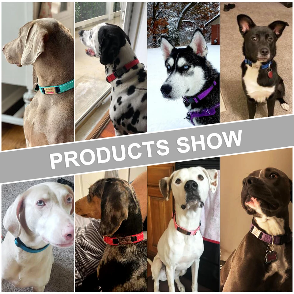 Collares De Perro Personalizados Con Placa De Nombre, Etiquetas De