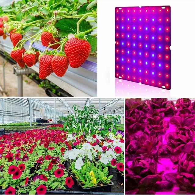 169/81Led Növénynövekedés Fény, Professzionális Teljes Spektrumnövekedés Lámpák Beltéri Növények Palántáihoz, Növekvő És Virágzás - Image 5