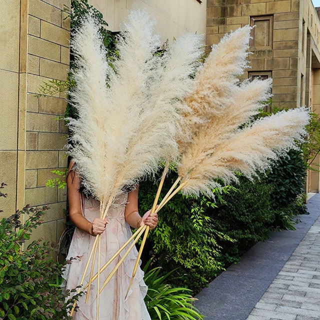 1PC Fake Pampas Grass Artificial Reed Decor Vase Fillers Everlasting Flower  Decor Centerpieces Wedding Arch Flower Faux Plants