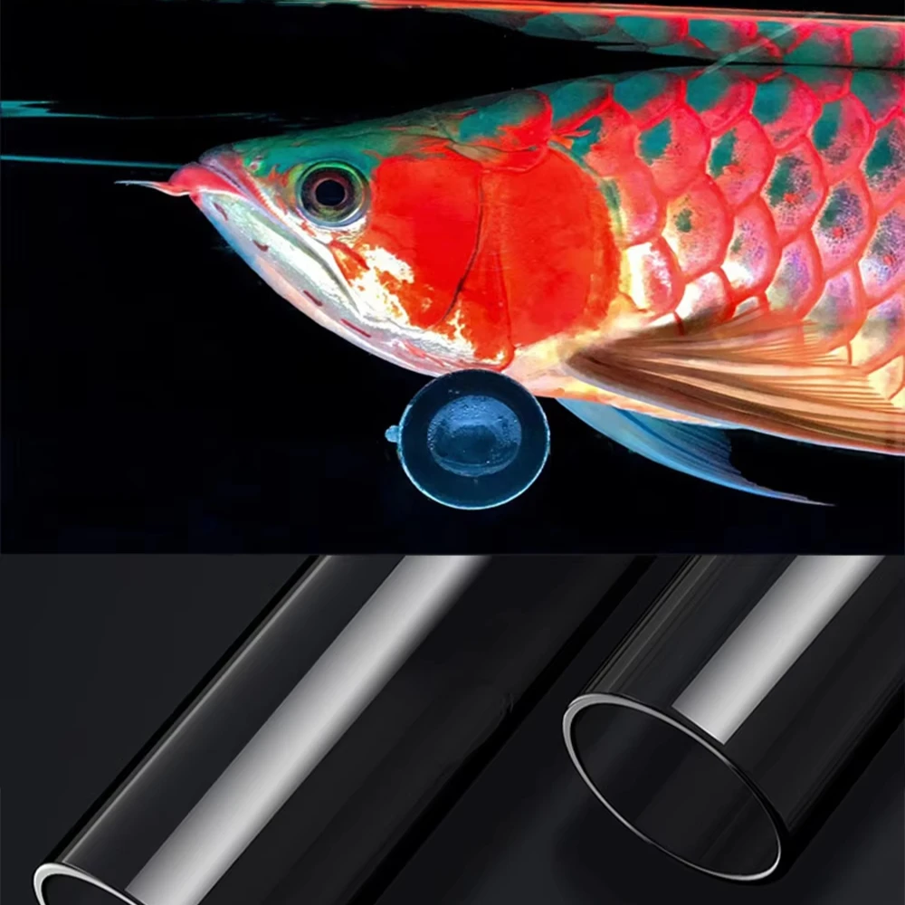AROWANA TANNING LIGHT テンニング Sa21d9ff275d94e518a3741bc3031c