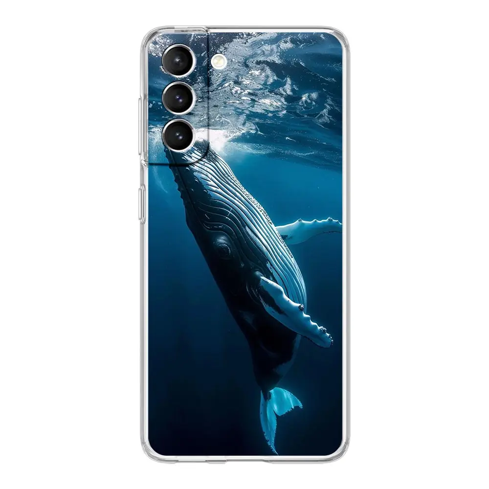 Ocean Whale Shark Swim Design Soft Clear Phone Case
