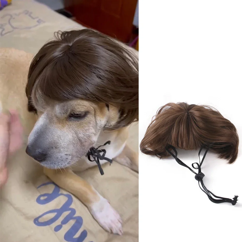 Parrucca Riccioli Per Cani E Gatti – Cappello Peloso Costume Animali Domestici, Copricapo Cosplay Carino Per Foto E Feste, Taglia Unica Regalo Divertente