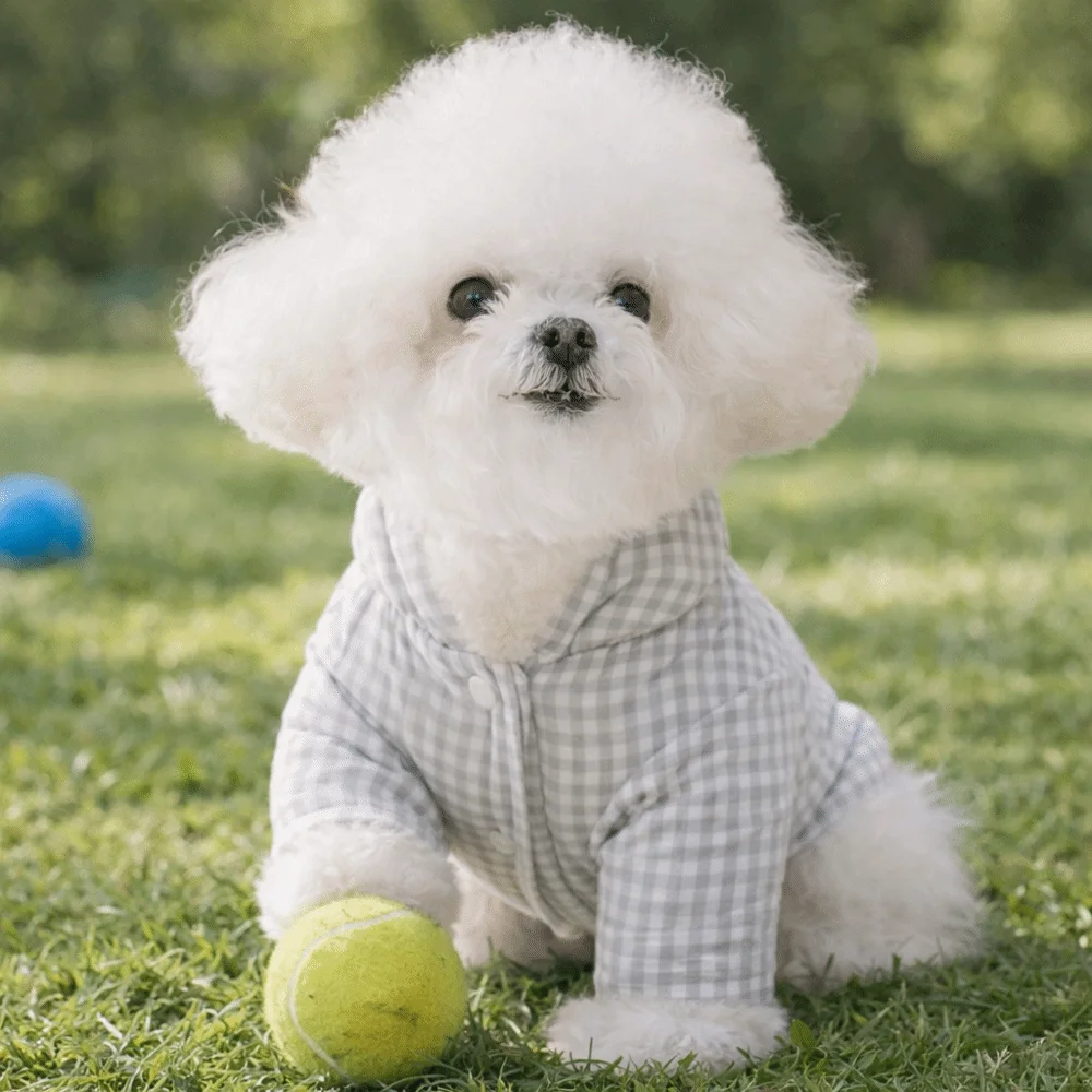 패션 체크 디자인 겨울용 따뜻한 강아지 옷 두꺼운 편안한 강아지 점프수트 플러시 볼이 달린 네발 강아지 의상 일상복
