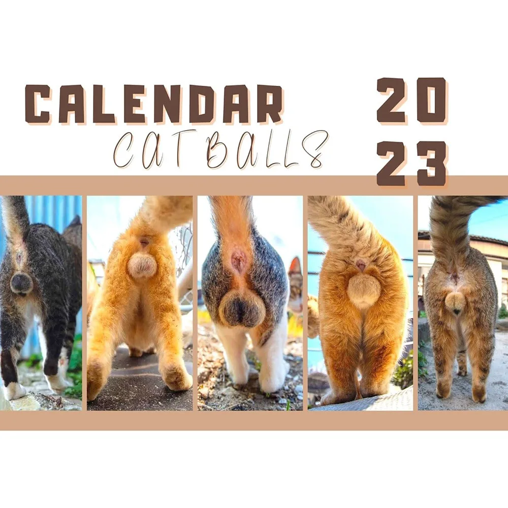 2023 Cats Buttholes Wall Calendar Creative Cure Cat Butt Calendar Planning Organizing Daily Monthly Calendar for Home Office