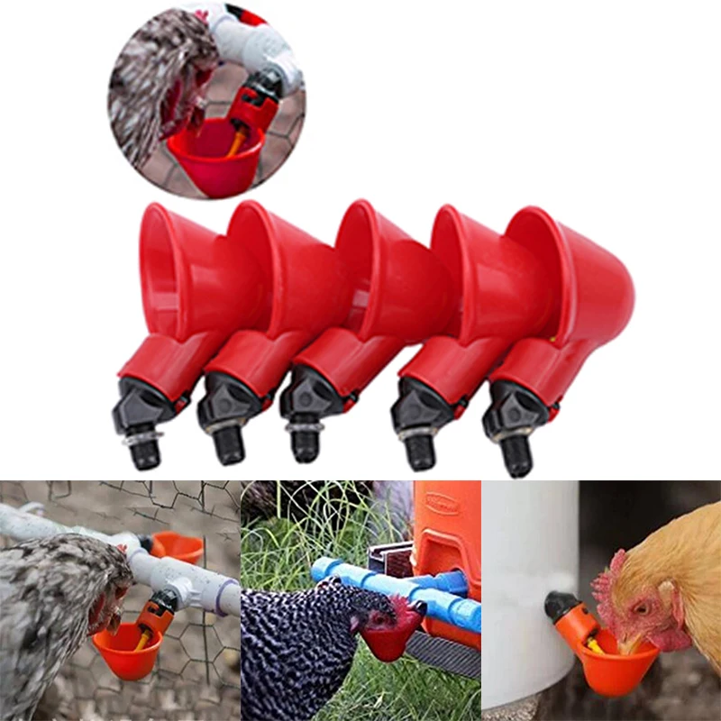 Feed Automatic Bird Coop Poultry Chicken Fowl Drinker Water Cup Feeder Bowl 5Pcs