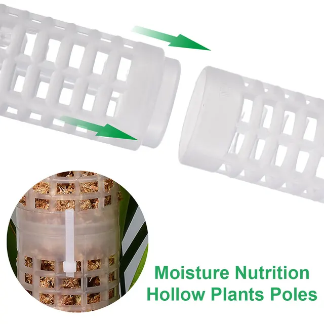 Csomag 2 Hegymászó Növény Pólusra Rakható Függőleges Üreges Tartó Talaj Tüskés Csatlakozó Kikötő Kertész - Image 2