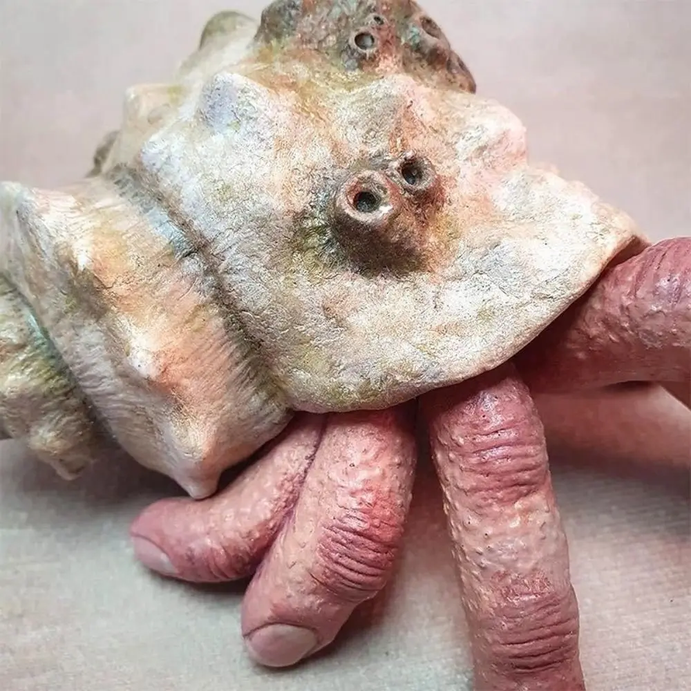 Finger Toy Realistic Resin Finger Crab Simulation Conch Shell Parasitic Finger Crab Colorful Snail Hermit Crab Toys Kid Gift