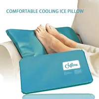 Summer Cold Therapy Insert Sleeping Aid Pad Mat Muscle Relief Cooling Pillow Sleep Pillow Cushion+Pillowcover For Home Beddings 2