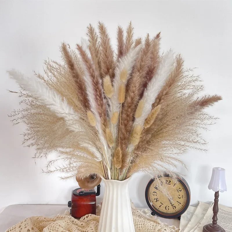 

80pcs Natural Dried Flowers Boho Pampas Bunny Tails Grass Bouquet Home Decor Floral Wedding Arrangements Free Shipping