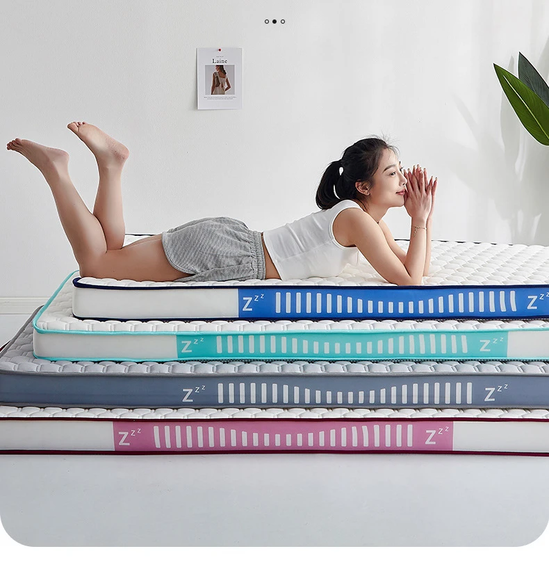 Description Picture 4 of itemFamily Mattress Thickened Sponge Tatami Latex Mat Single Mat 90cm Memory Cotton Upholstered Bedroom Furniture Accessories