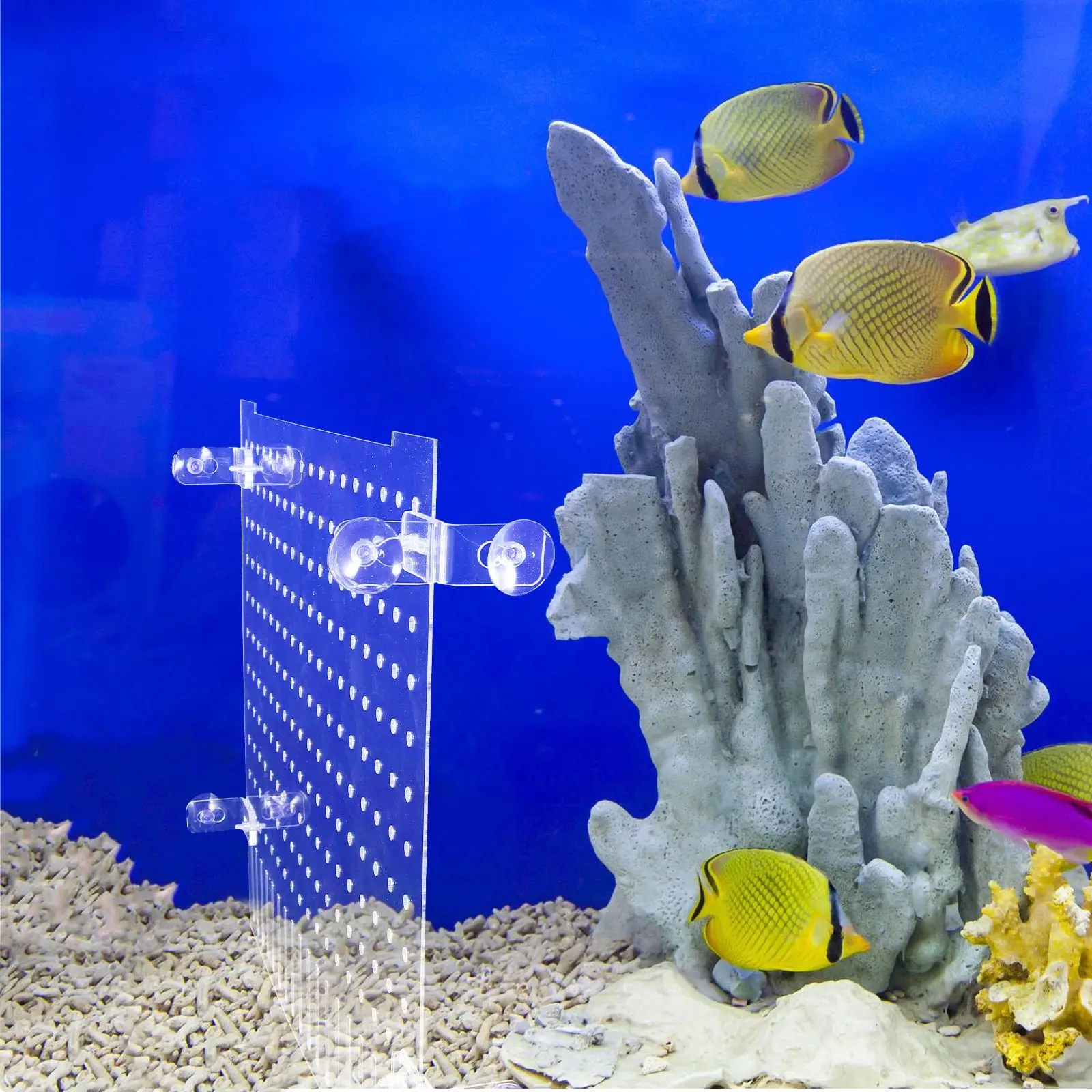 Fish Tank Isolation Board Divider With Suction Cup Separator Acrylic Aquarium Baffle For Transparent Fish Tank Divider