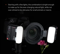 Godox MF12 K2 Macro Flash Speedlite 2.4G Wireless Control TTL/M Mode Built-in Lithium Battery for Nikon Sony Canon Fuji Olympus 2