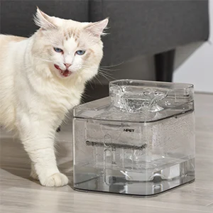 cat water fountain