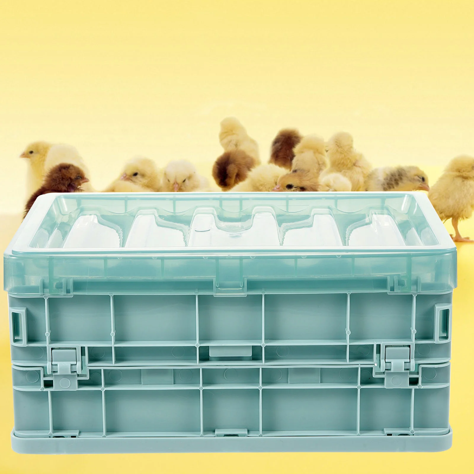 Heating Pad Incubator Brooder Box Parrot Hatchery Supplies Poultry Breeding Equipment Bird Treat Pet Products Accessories