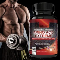 High Performance Amino Acids - Rich in Amino Acids and BCAAs - Muscle Replenishment, Repair and Growth, Workout Supplement