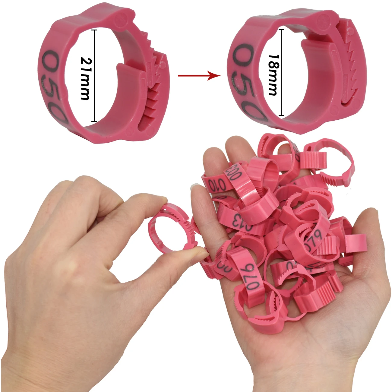 Chicken Foot Label Snap Ratchet Clip Plastic Poultry Leg Ring Buckle Adjustable Digital Duck Goose Farm Equipment Tools 30pcs