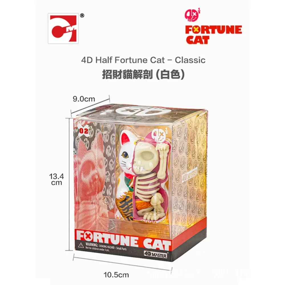 4D Master Half Skeleton Anatomy Lucky Cat Three Colors Trendy Art