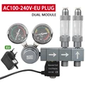 Dual module-EU plug
