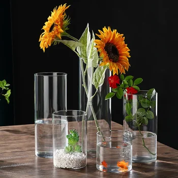 Ecological glass vase, straight tube transparent glass vase, creative high borosilicate landscape flower ware, home decoration