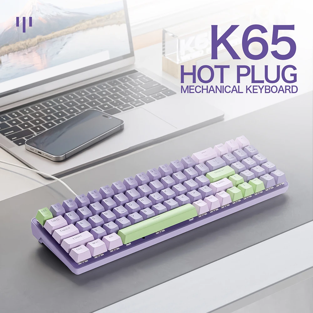 노트북 데스크탑 PC 게이머용 기계식 게이밍 키보드, 핫 스왑 가능 RGB 백라이트 키보드, USB 유선, 블루, 레드 스위치, K65