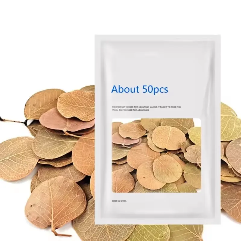 50 stücke Natürliche Blatt Aquarium Filter Terminalia Catappa Foetida Blätter Insel Mandel Blatt Fisch Reinigung Behandlung Dekoration – Detail 4