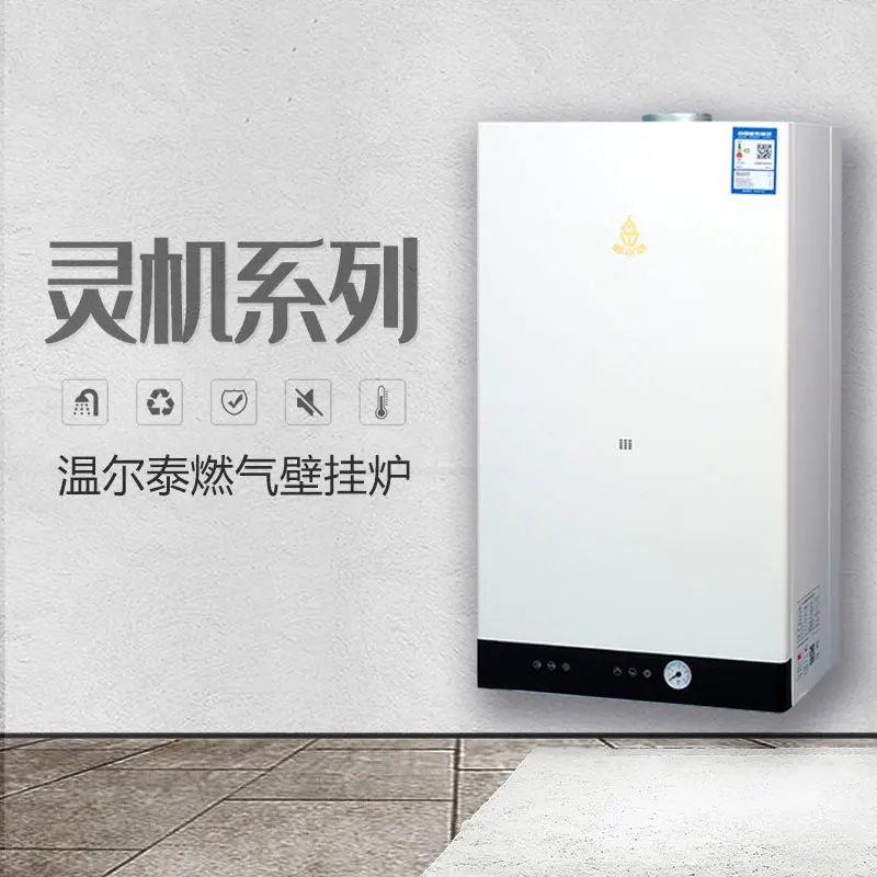 Hot Selling Geyser Water Heater ISO9001 20KW Wall Hung Gas Boiler 2