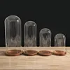 Dia 20cm Free Clear Handcrafted Glass Dome with Brown Wood Stand Home Decor Clear Oval Glass Domes with Base 1