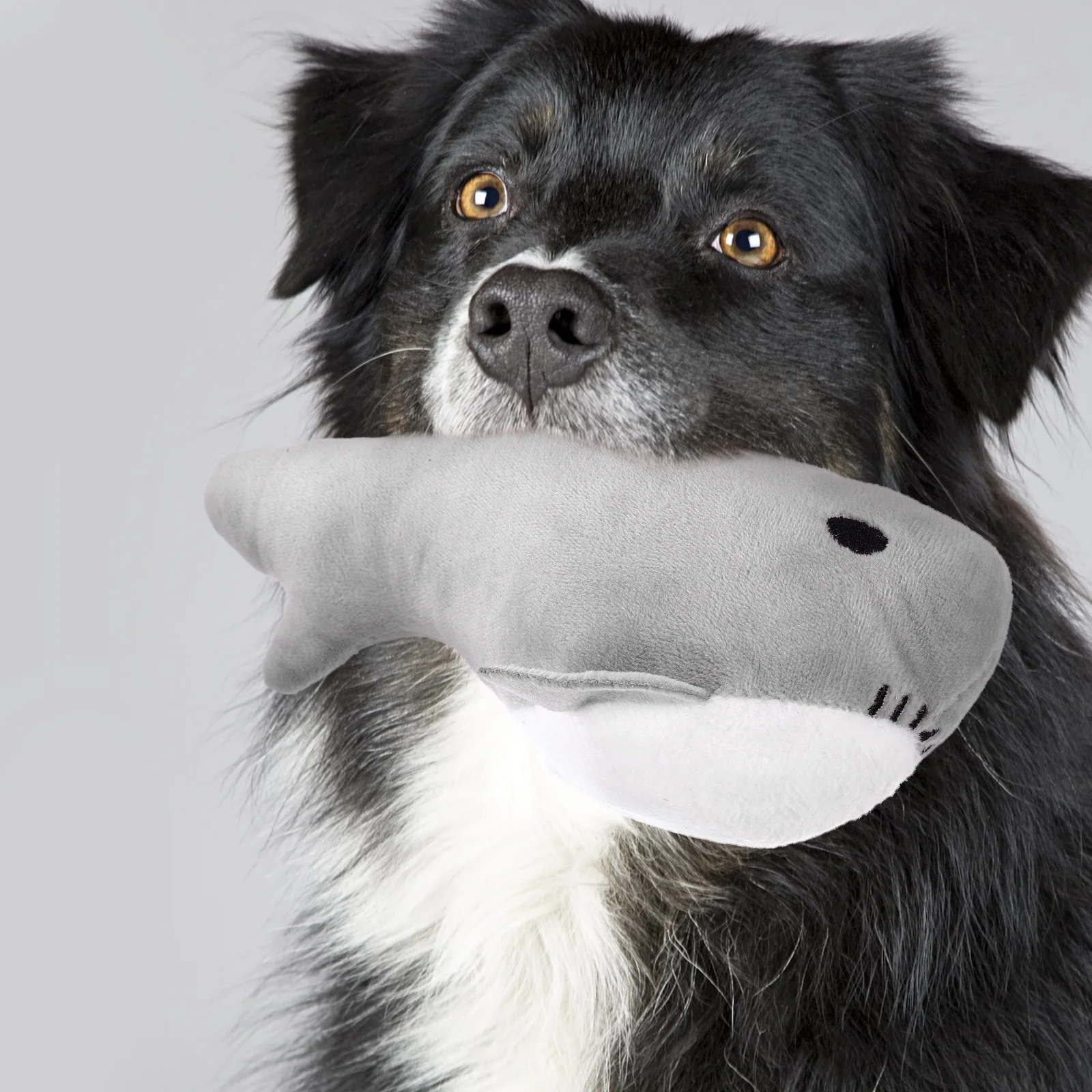 

Squeaky Dog Toy Pet Interactive Play Toy Stuffed Fish Plush Dog Toy Pet Squeaky Toy Chew Toy