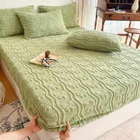 New Soft Cotton Velvet Taffees Only Product Bed Autumn/winter with Wool Thickened Warm Bedspread with Elastic Mattress Cover 1