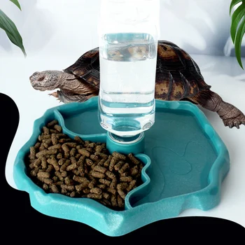 1pc - Reptile Feeder 6