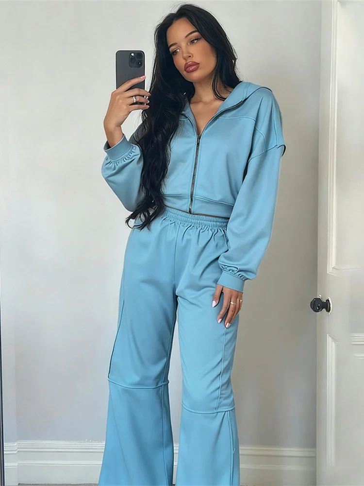 Nibber Casual Tracksuit Women 2 Piece Set Panelled Stripes Sporty Simple Hipster Hooded Zip Jacket+Wide Pants Matching Suits