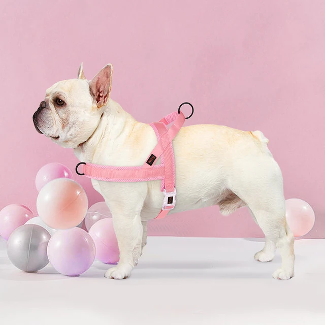 Adjustable Nylon Dog Harness Colorful Pet Dogs Vest Harness With Quicklace Control Handle for Small Medium Large Dogs Chihuahua 5
