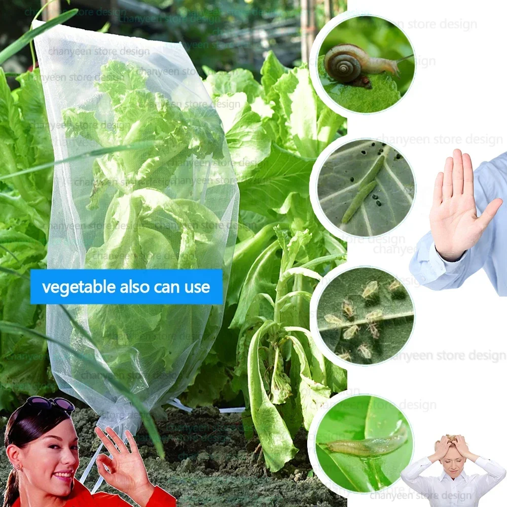 Fruit Grow Bags 50/100pcs