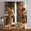 2pcs, Contemporary Curtains 2D print Surprised Dog & Cat with Eggs Machine Washable Polyester (without rod) Home Decor Use for 1