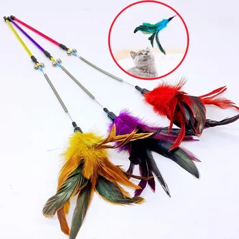 Spring Feather Cat Teaser 1