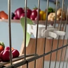 6pcs Bird Cage Accessories Birds Vegetable Clip Food Rack Parrot Clip Bird Thumb Box Bird Fruit Fork Bird Egg Holder Tray 5
