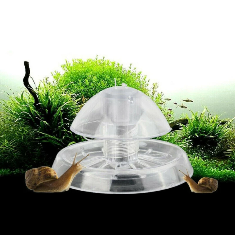 

Plastic Transparent Snail Trap Catcher Fish Tank Plants Planarian Pest Catch Box Environment Cleaning Tool Aquarium Accessories