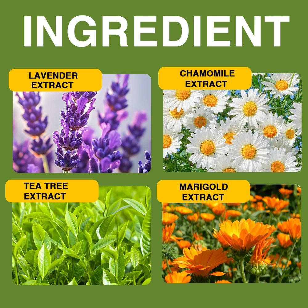 Tea Tree Essential Oil for Holistic Wellness and Relaxation