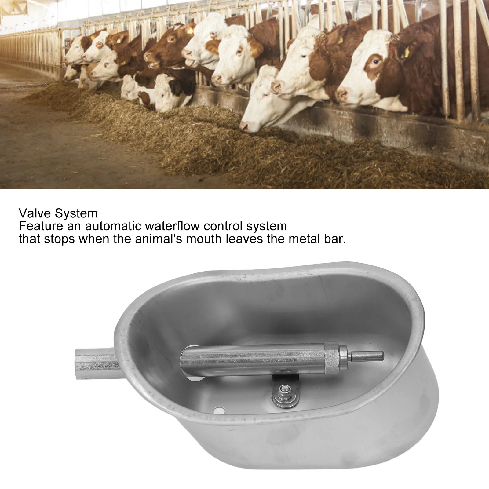Automatic Drinking Water Bowl Stainless Steel Livestock Water Feeder Trough for Goat Sheep Dog Cattle