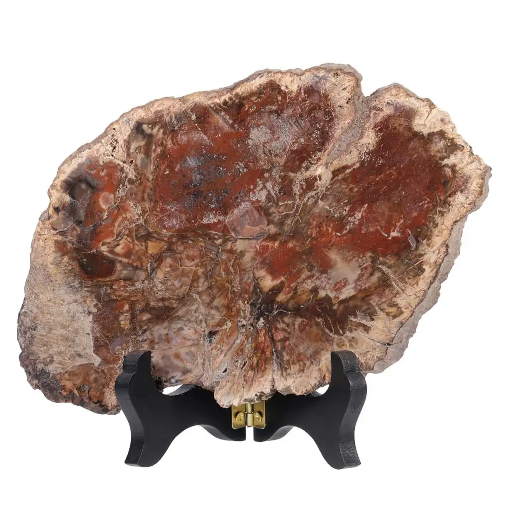 Natural Petrified Wood Slab Specimen With Wooden Stand Irregular Minerals Healing Figurine Table Display For Home Decoration
