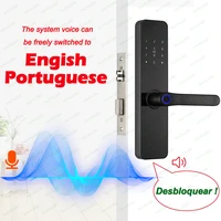 RAYKUBE F7 TT Lock Smart Fingerprint Lock Electric Door Lock With Longer Larger Handle Panels Mirror Design APP Remote Control - Image 4