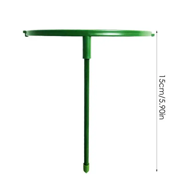 Növényi Tét És Támaszkodik A Zöld Szárú Virág Félkerekes Támogatáshoz, Nem Könnyű Rozsdásodni Kellékek Használatával - Image 6