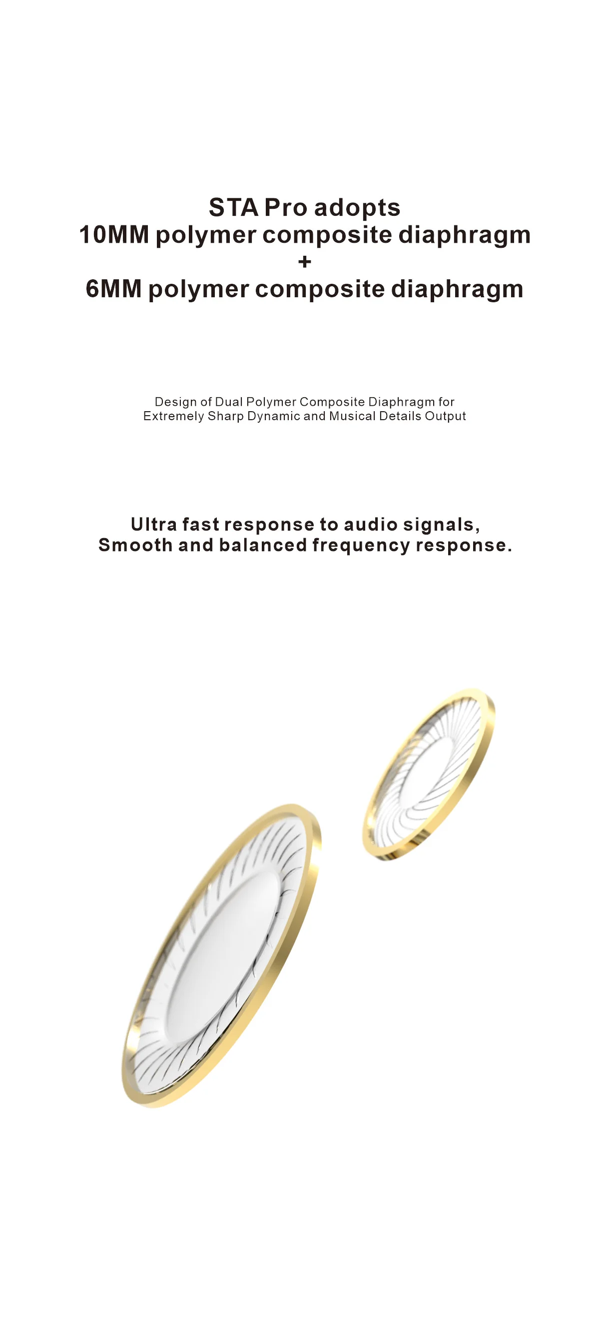 TFZ EarAcoustic Audio Silver Angel STA-Pro 10MM +6MM Polymer Diaphragm HiFi Music Monitor DJ Studio Audiophiles In-Ear Earphones