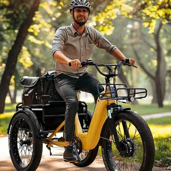 Giant Rhino Electric Tricycle Store