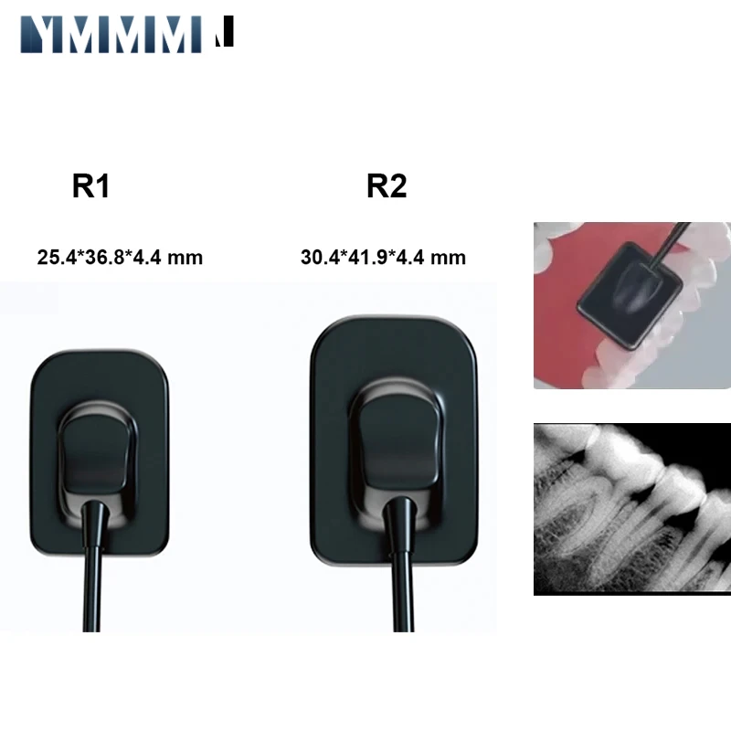 

Digital Cameras Dental Dentistry Sensor X-Ray High-Frequency Rx Digital Intraoral Digital System H D Image Radiovisografo Tools