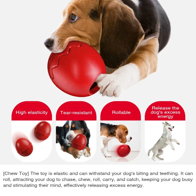 Dog Toy For Small Large Dogs Dinosaur Eggs Slow Feeder Pet Interactive Toys Release Anxiety French Bulldog Labrador Chew Toy 4